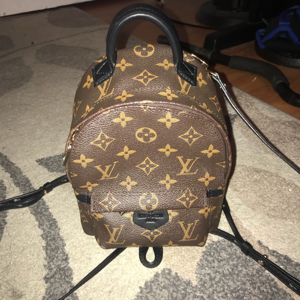 Palm springs mini backpack exact dupe